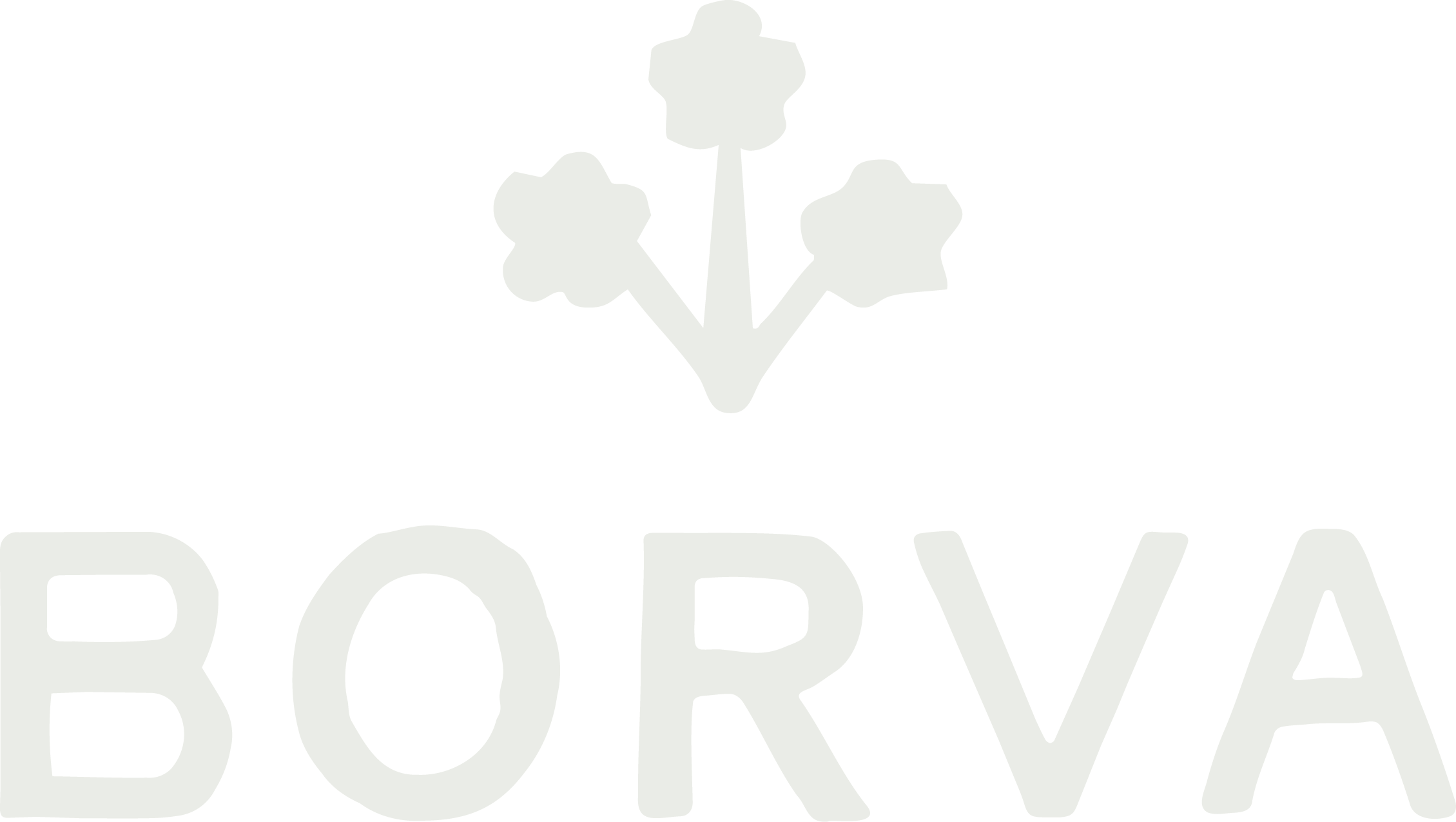 BORVA
